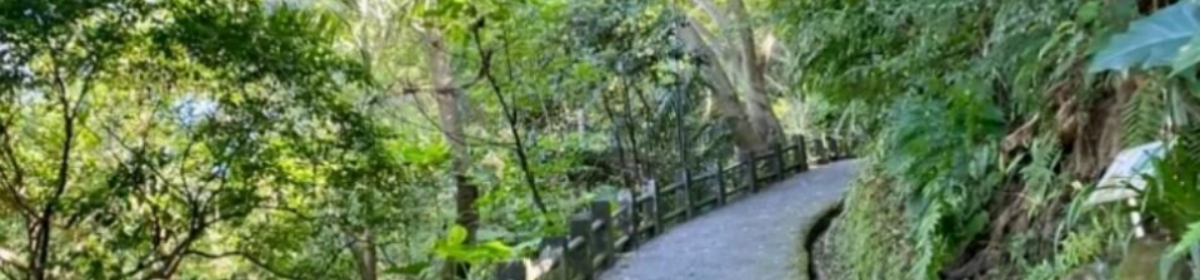Ven's Blog